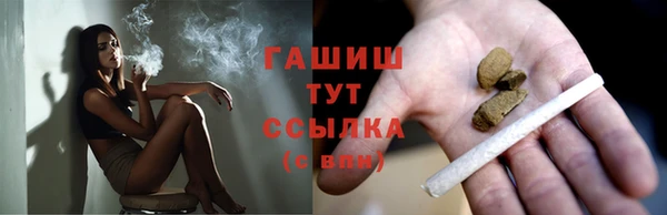 бошки Инта