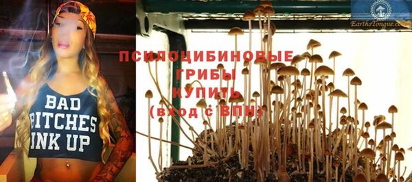 а пвп мука Алексин