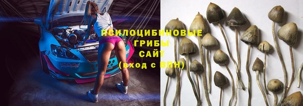 а пвп мука Алексин