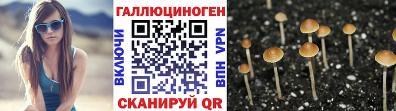 сколько стоит  Алзамай  Галлюциногенные грибы MAGIC MUSHROOMS 